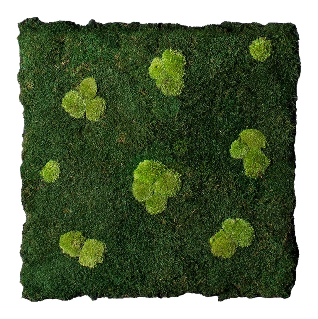 Flatmoss & Polemoss Wall Panel