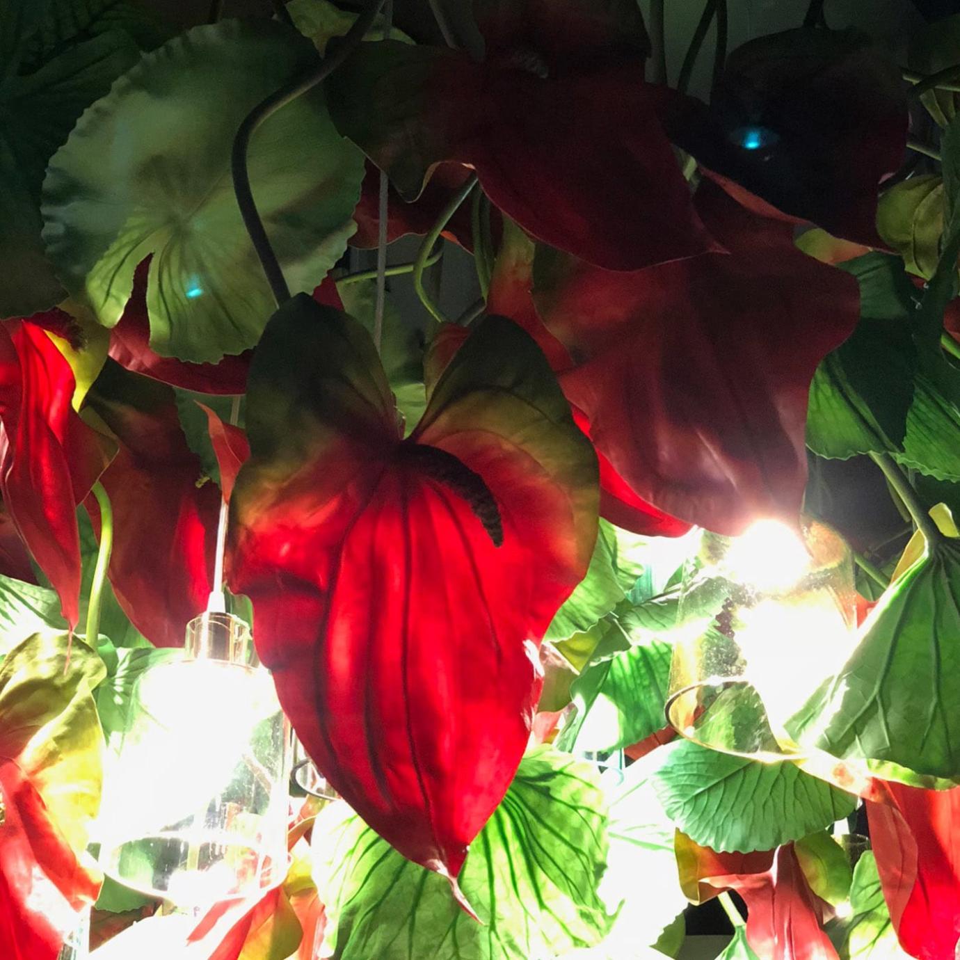 Anthurium Style Chandelier