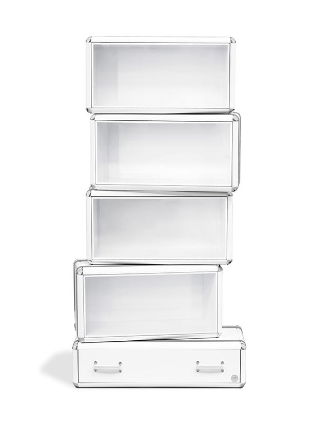 Fantasy Bookcase