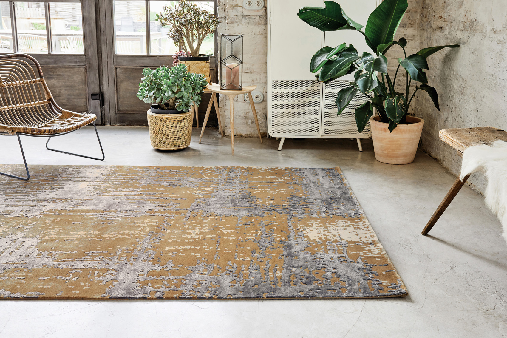 Used Rug