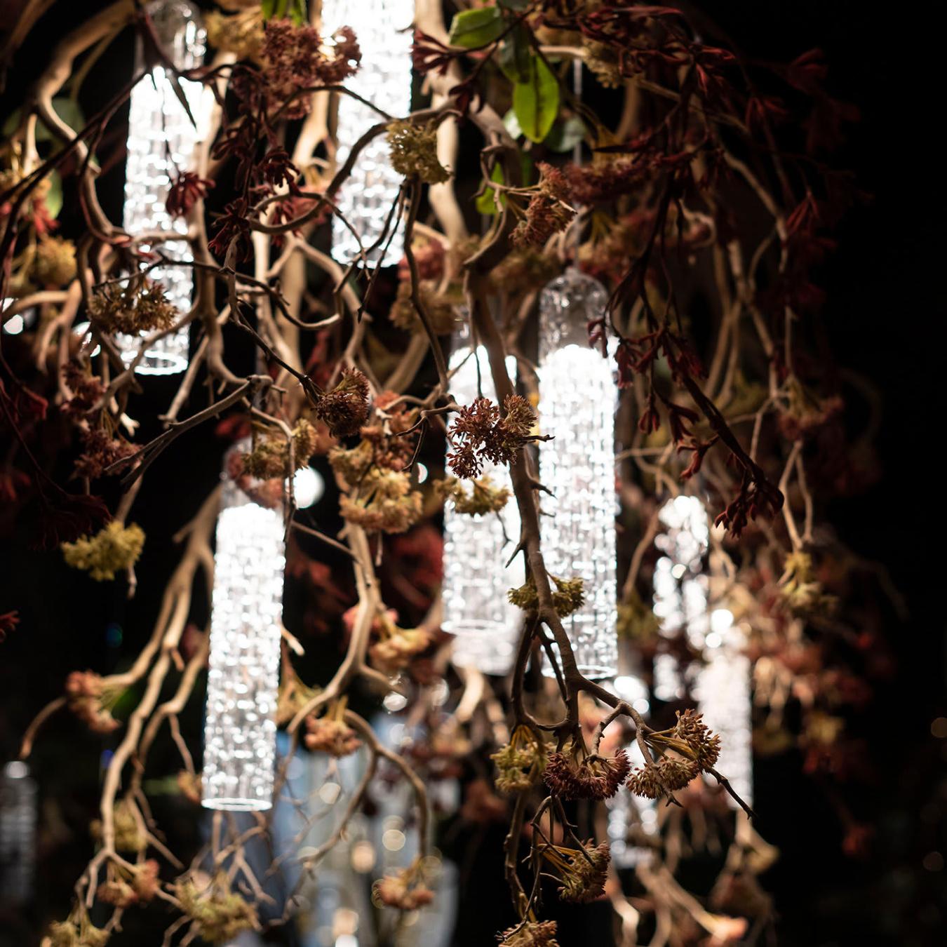 Manzanita Decorative Chandelier