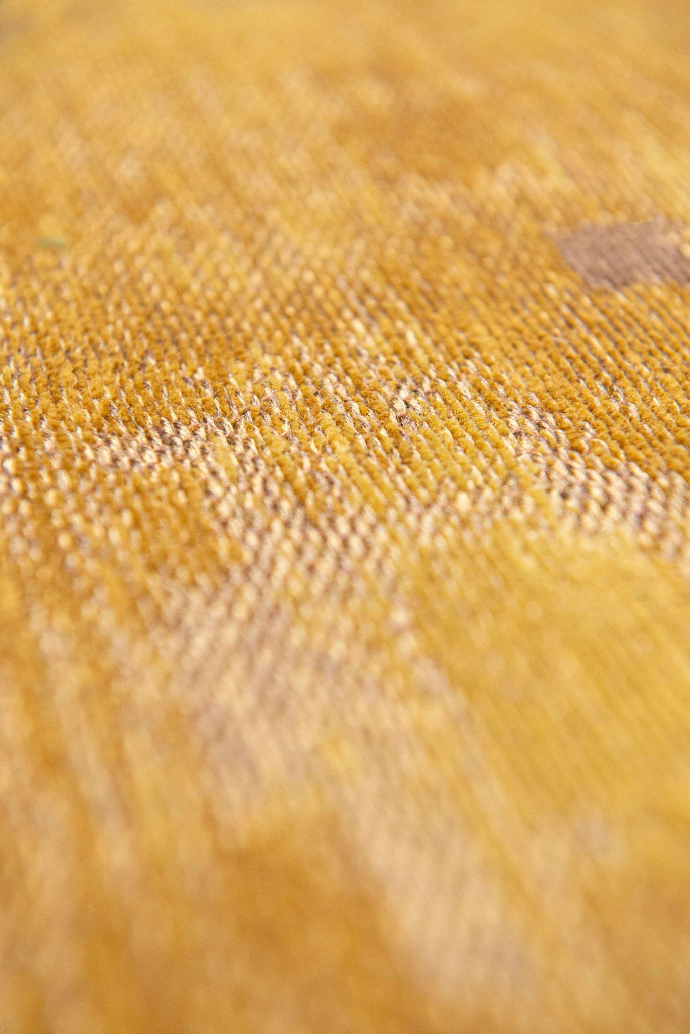 Venetian Dust - Rialto Gold 9235 ☞ Size: 170 x 240 cm