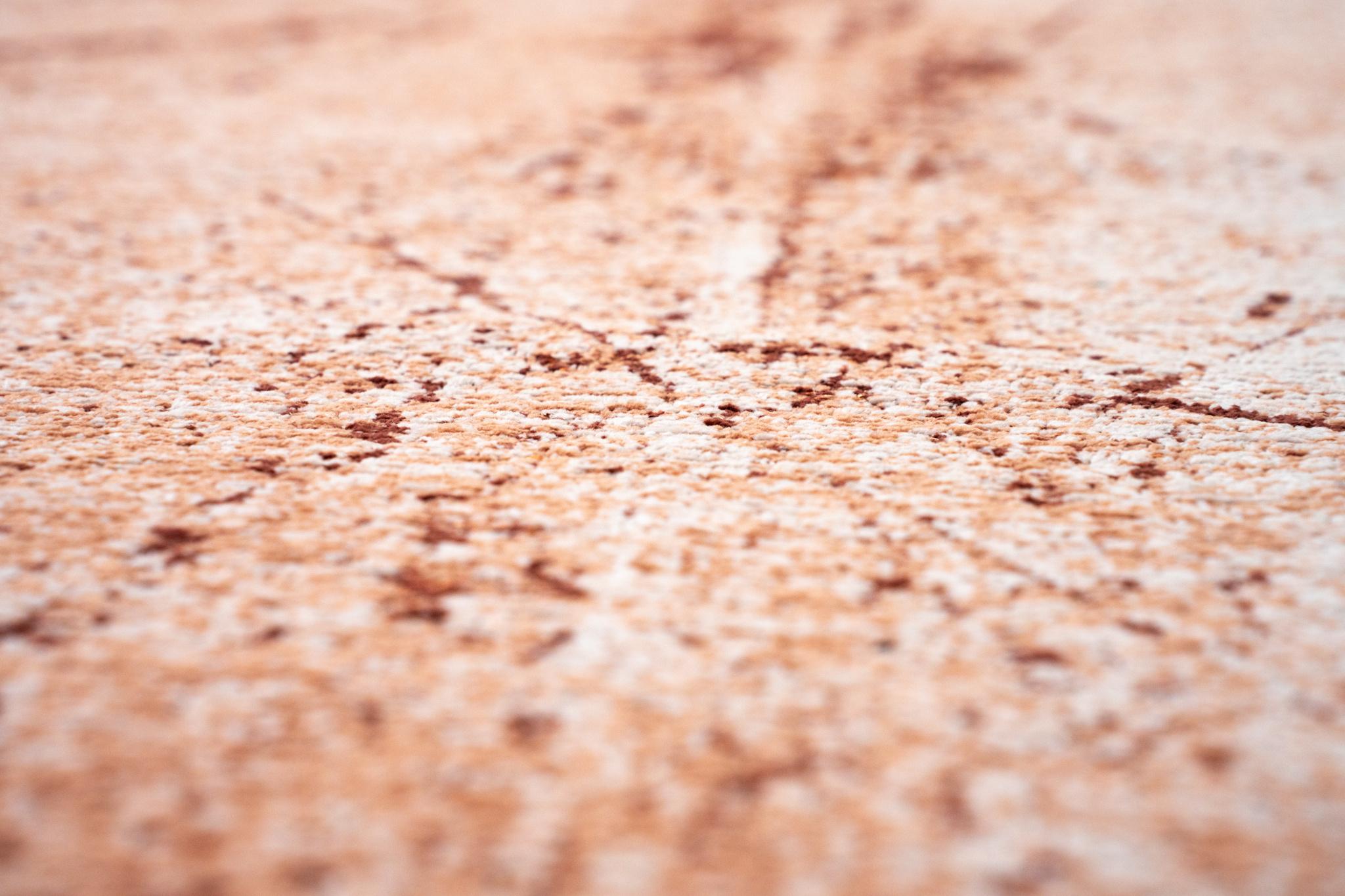 Tandoori 9774 Rug