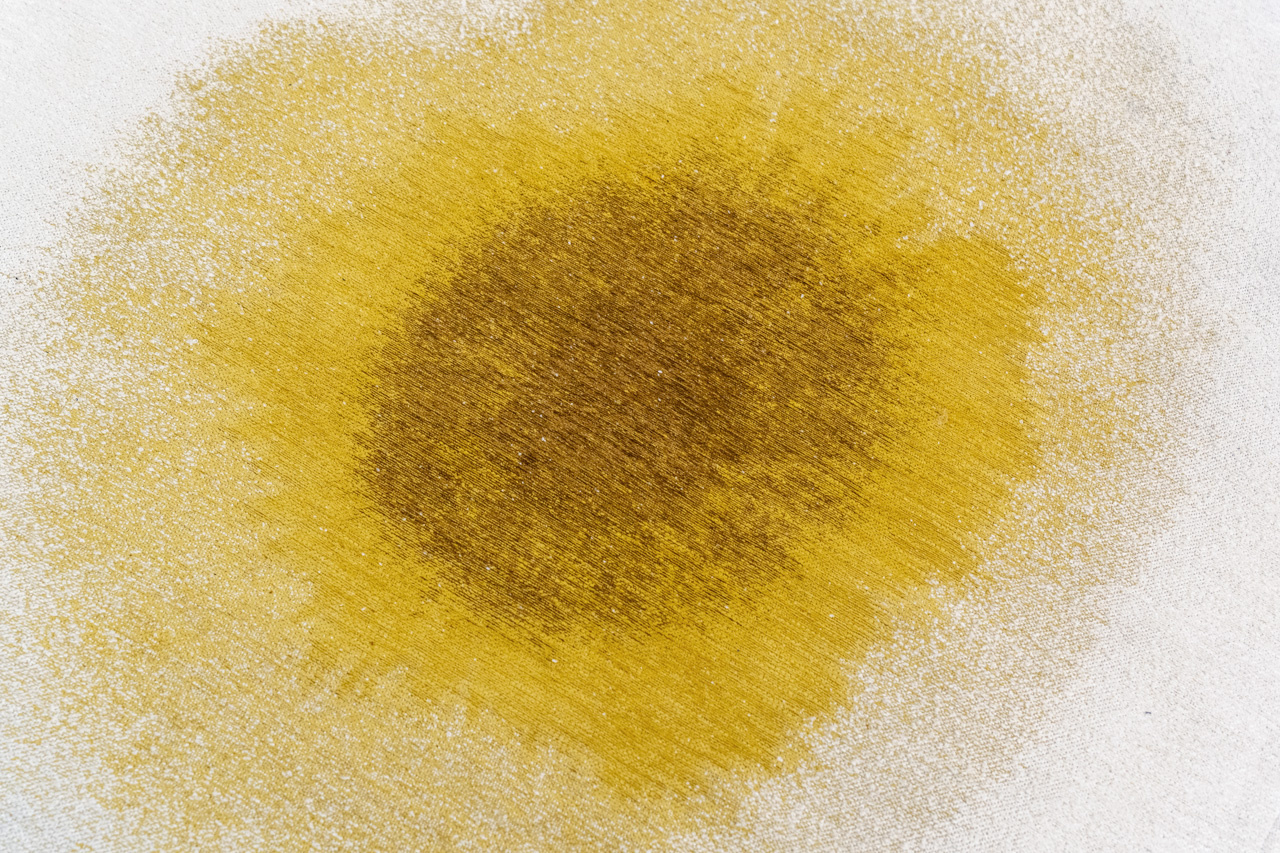 Drop Gold Moss Rug | Size: 280 × 390 cm