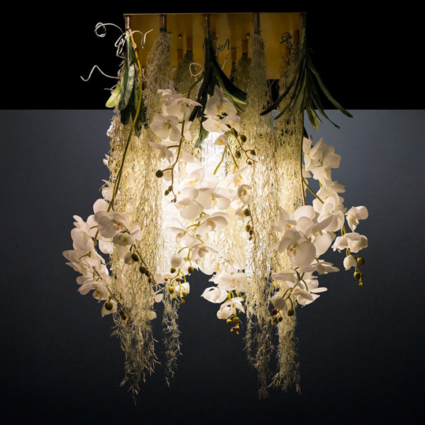 Phalaenopsis Decorative Chandelier