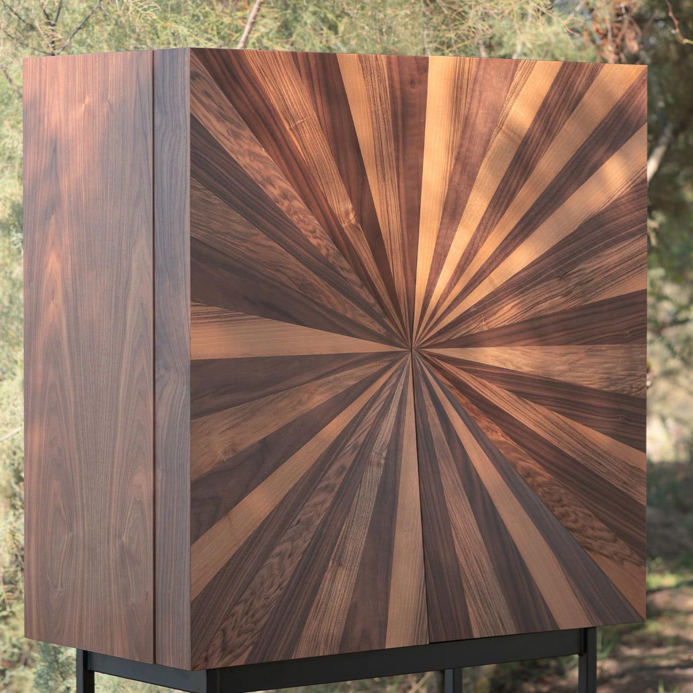 Wooden Veneer Cabinet