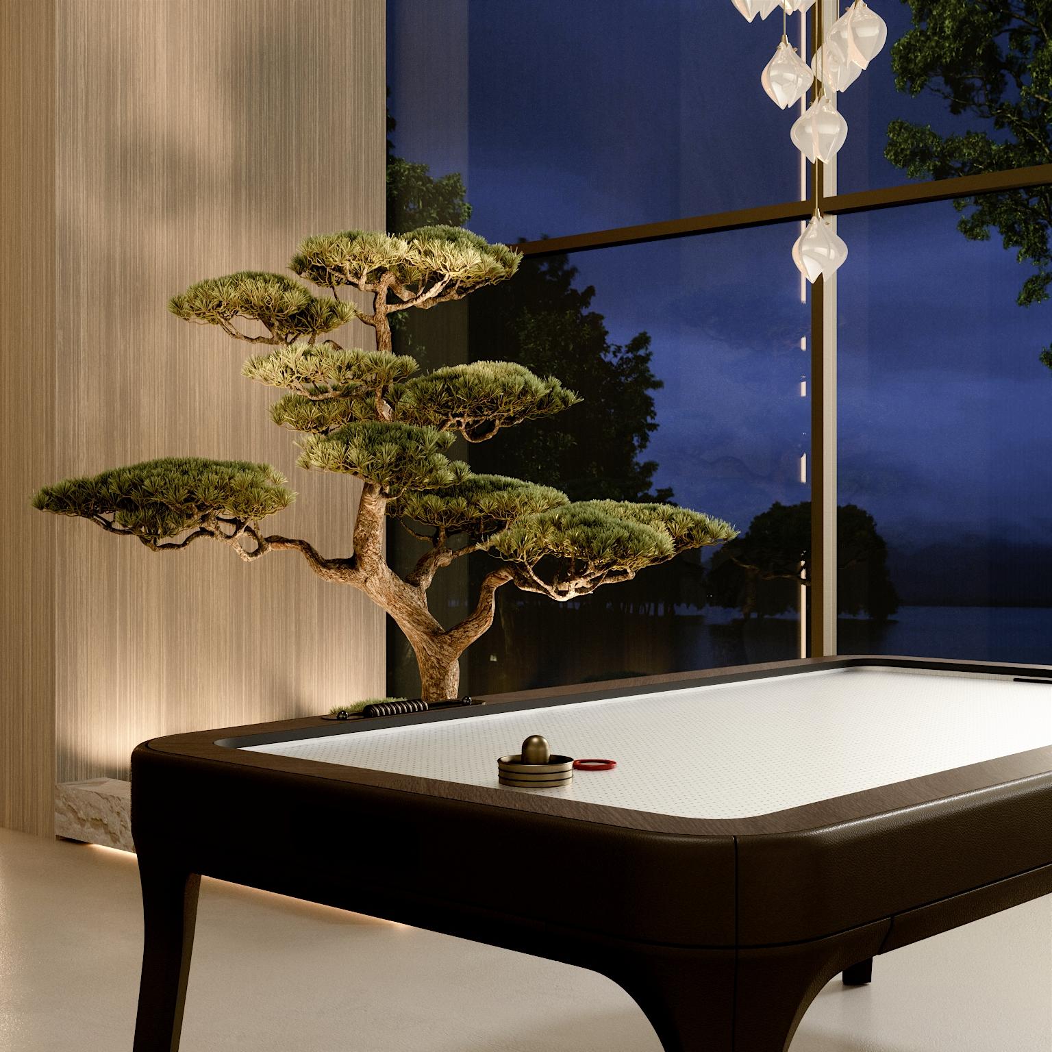 Blow Air Hockey Table