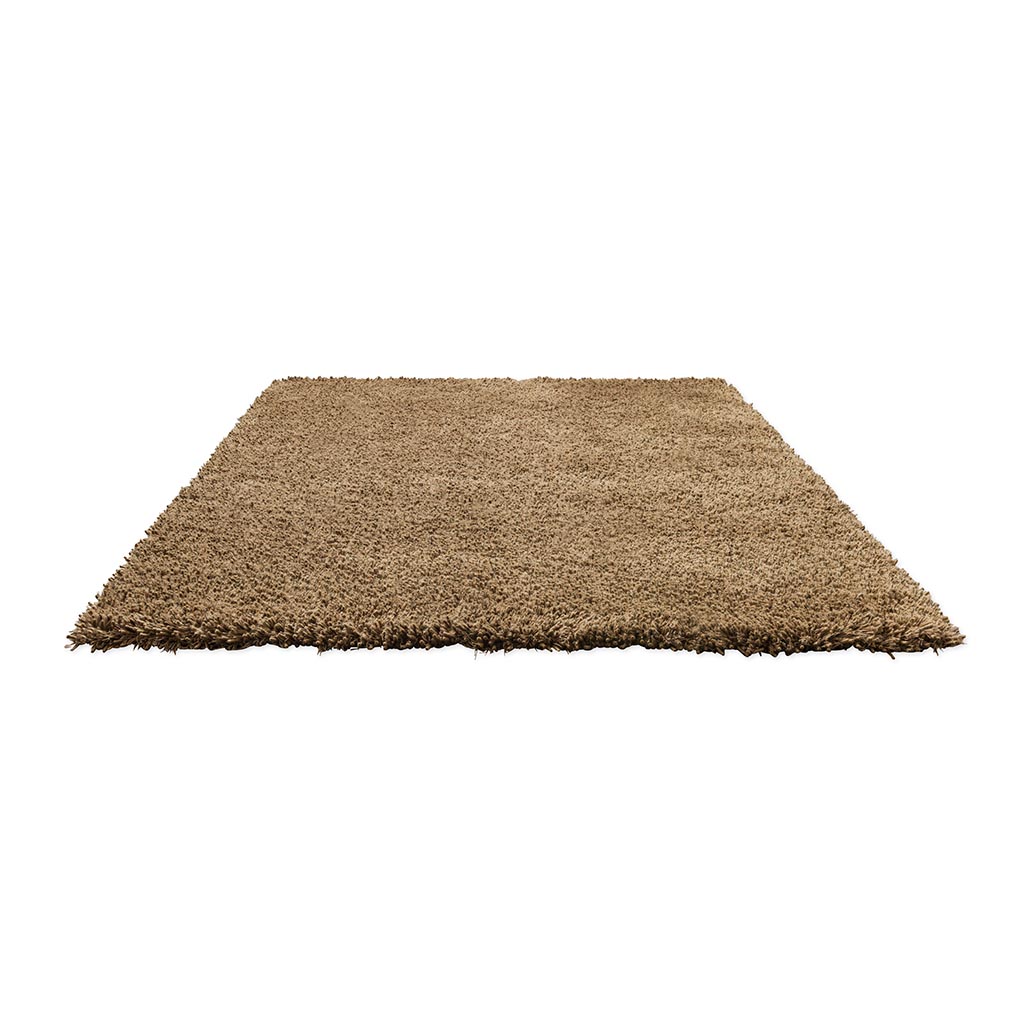 Sprout Dusty Ground 013319 Rug