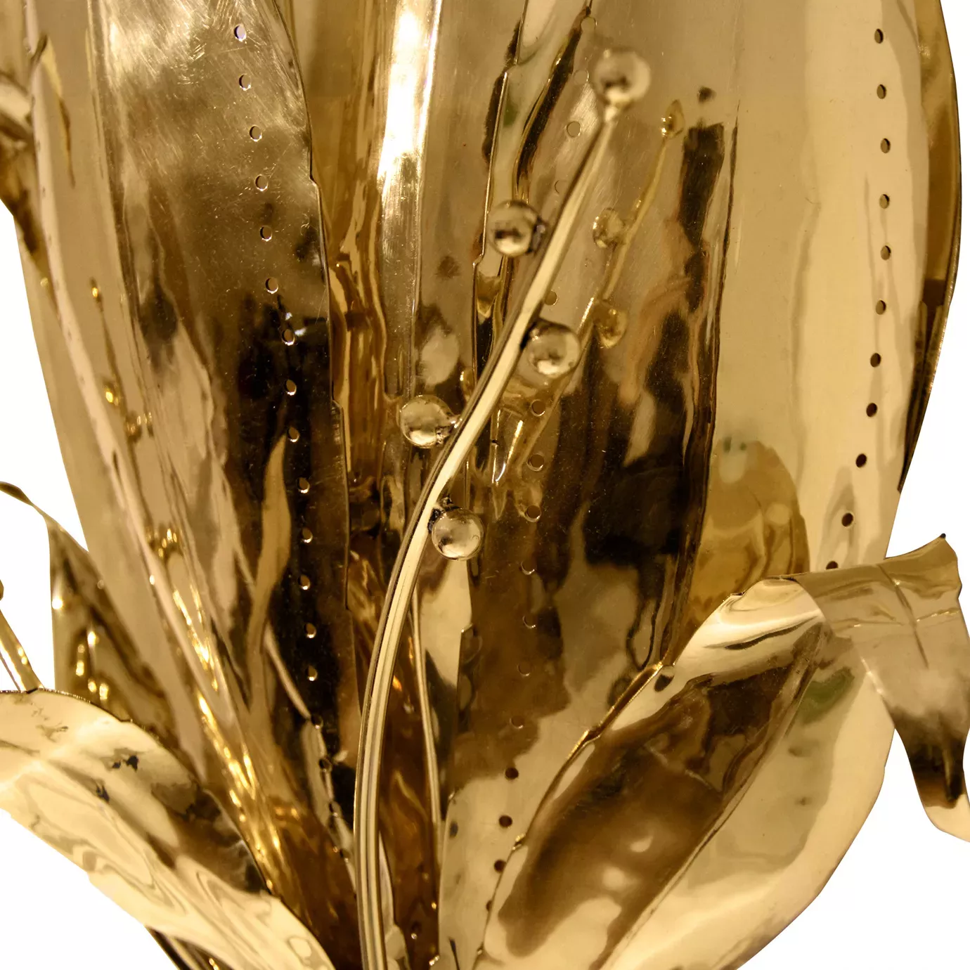 Botanica Wall Sconce