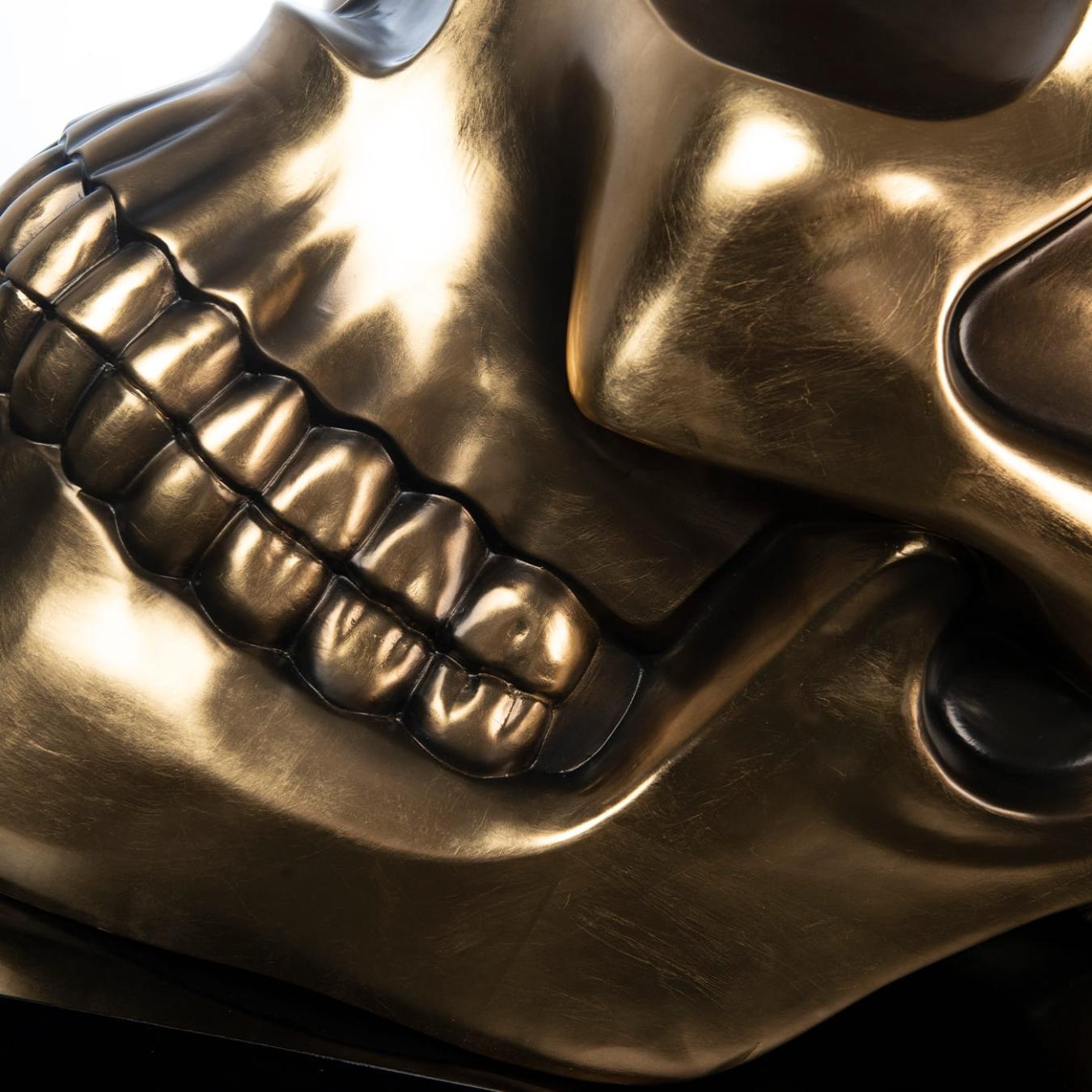 Skull Object