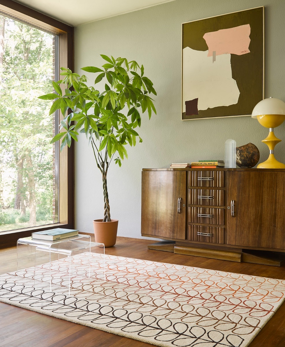Linear Stem Ombre Tomato 061103 Rug