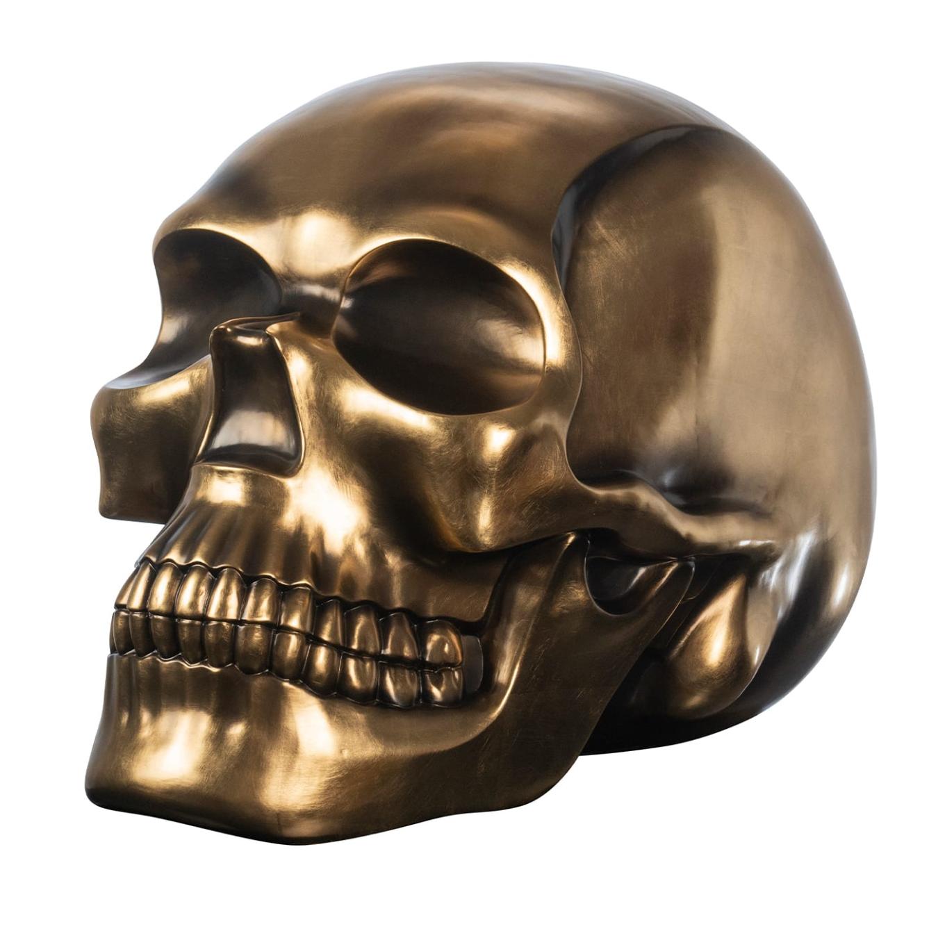 Skull Object