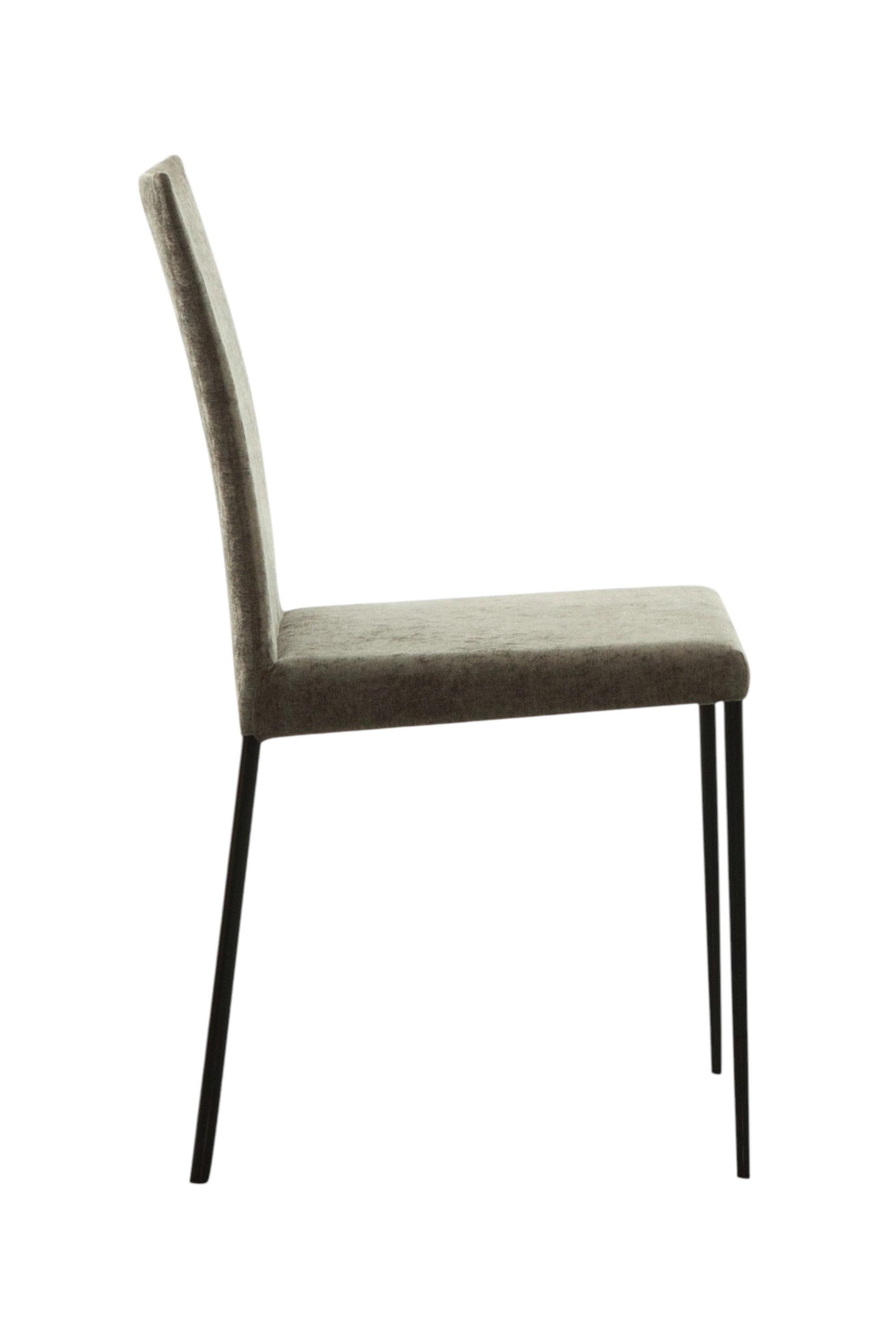 Spillo Elegant Chair