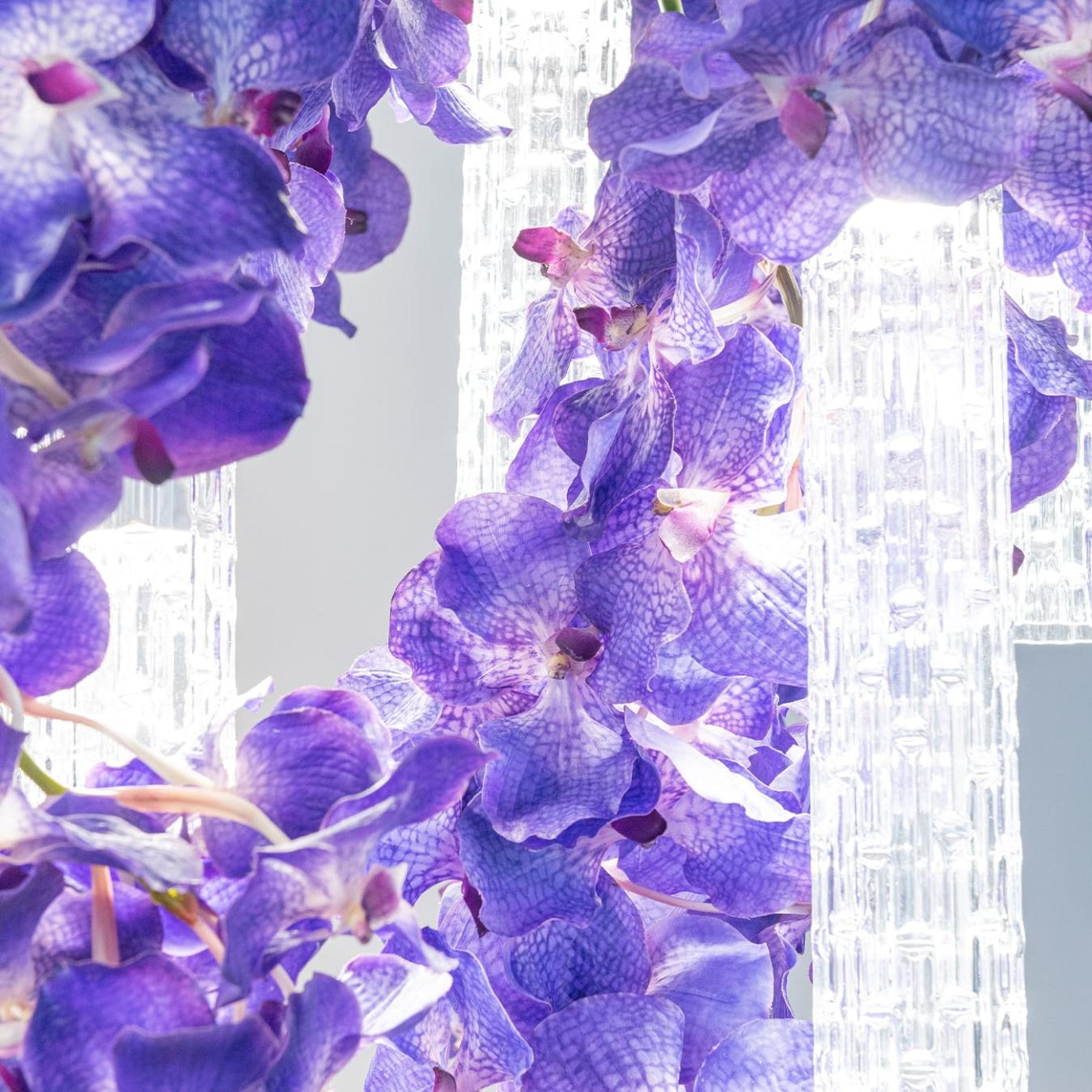 Vanda Large Chandelier