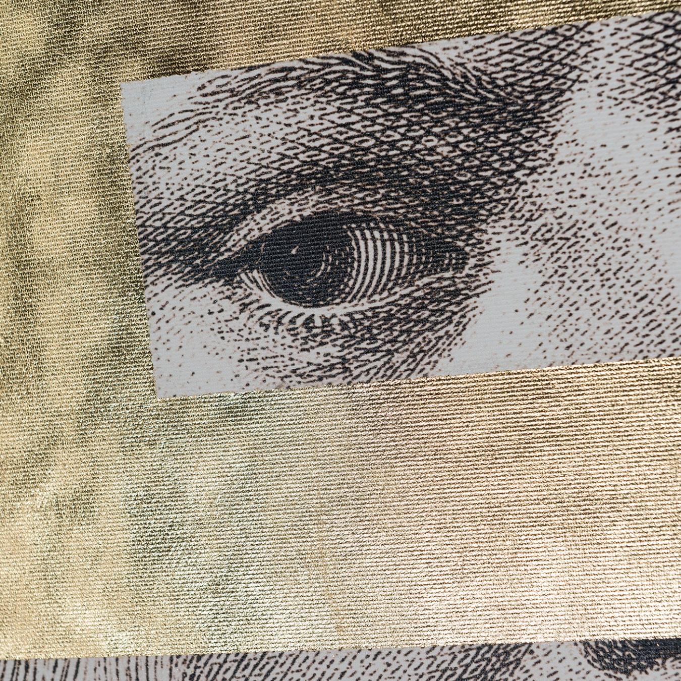 Leonardo Eye Decorative Panel