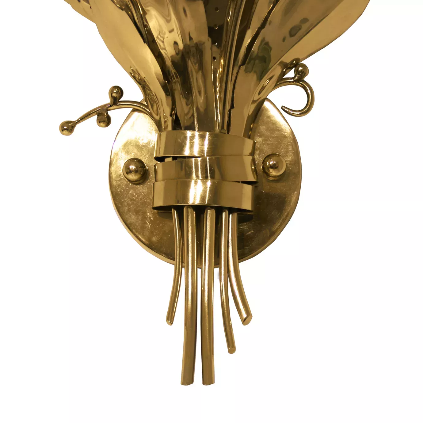 Botanica Wall Sconce