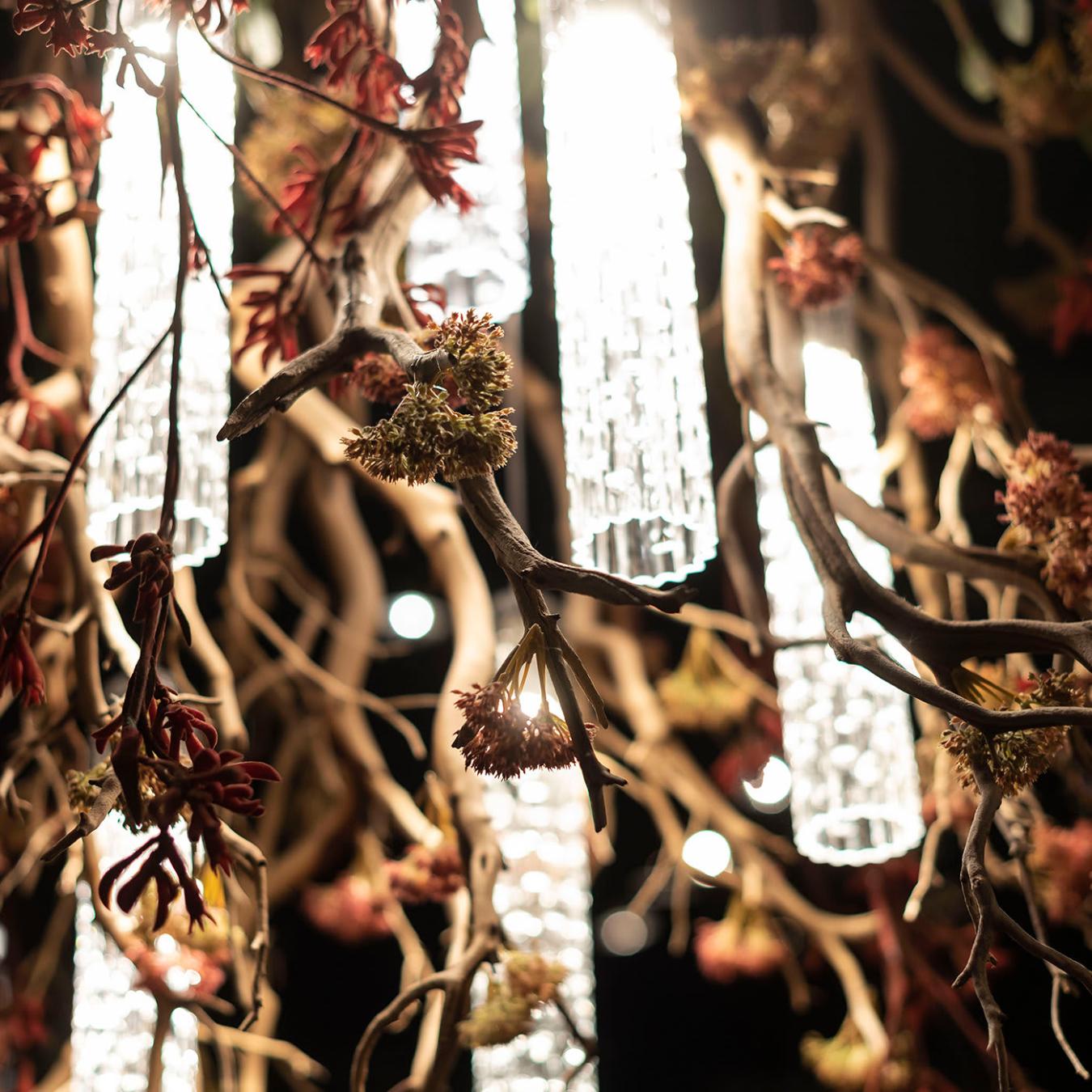 Manzanita Decorative Chandelier