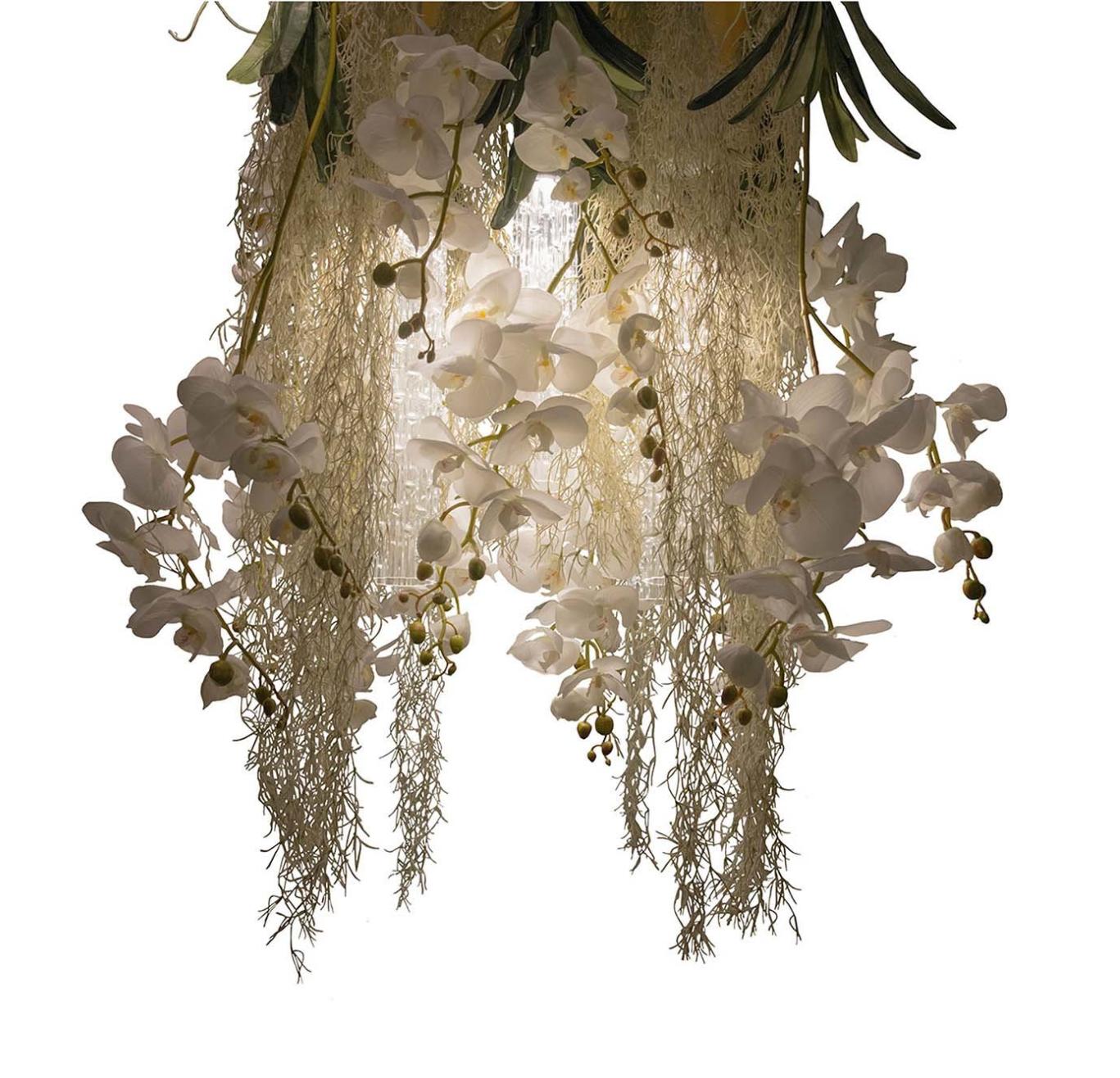 Phalaenopsis Decorative Chandelier