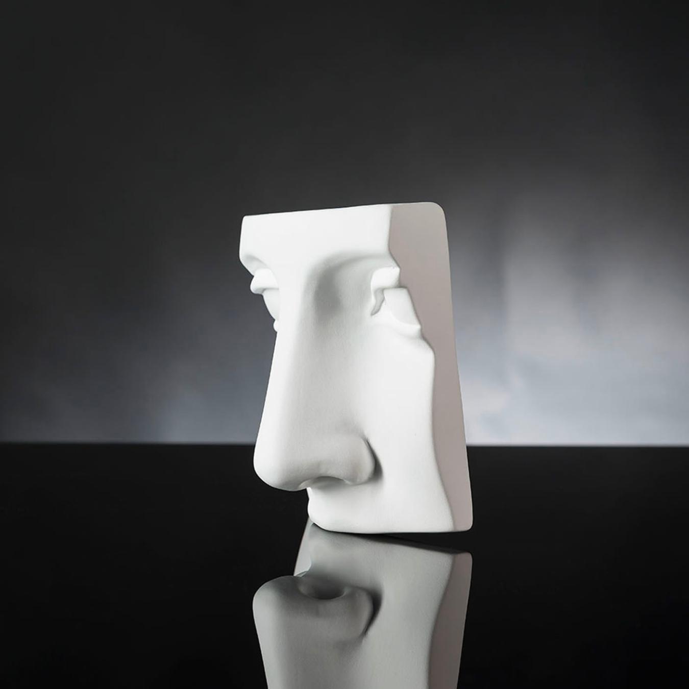 Juno Nose Sculptural Piece
