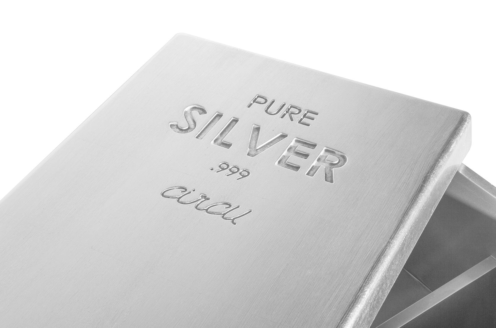 Silver Charm Toy Chest