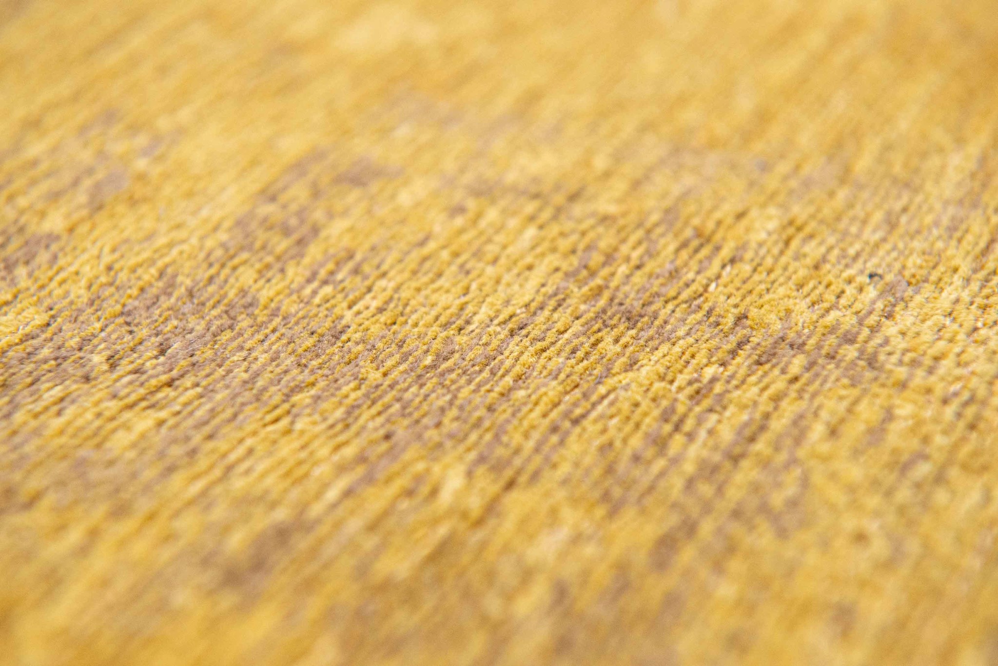 Venetian Dust - Rialto Gold 9235 ☞ Size: 240 x 340 cm