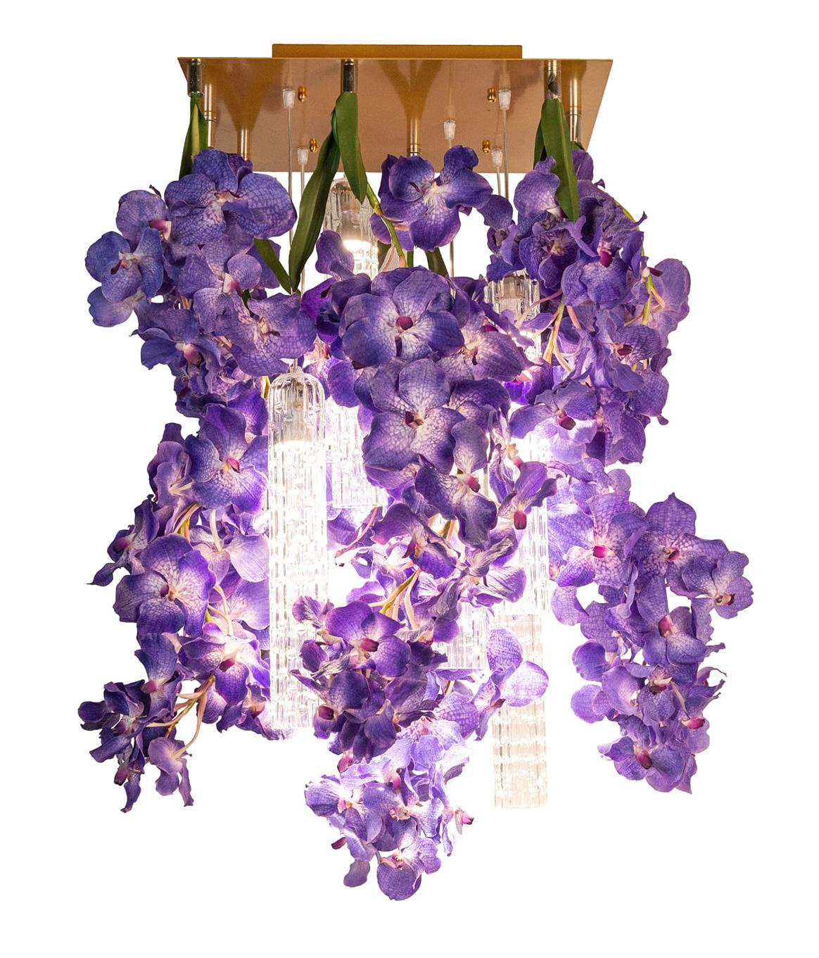 Vanda Square Chandelier