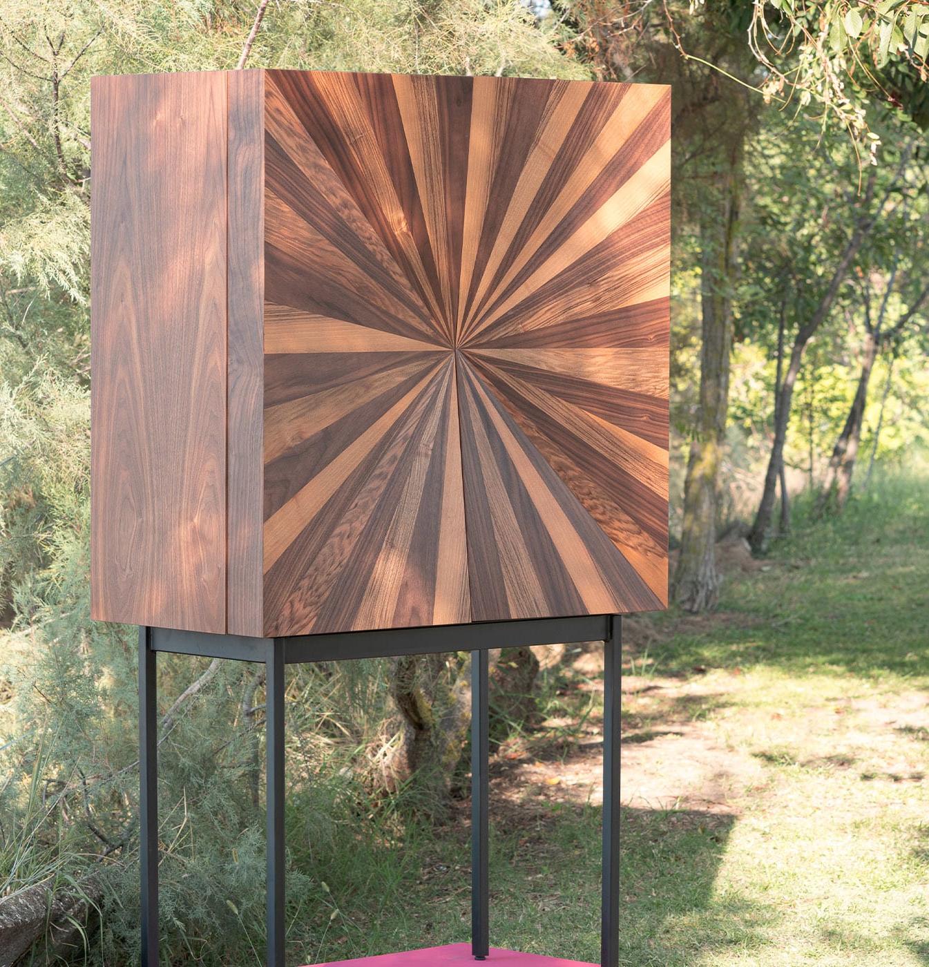 Wooden Veneer Cabinet