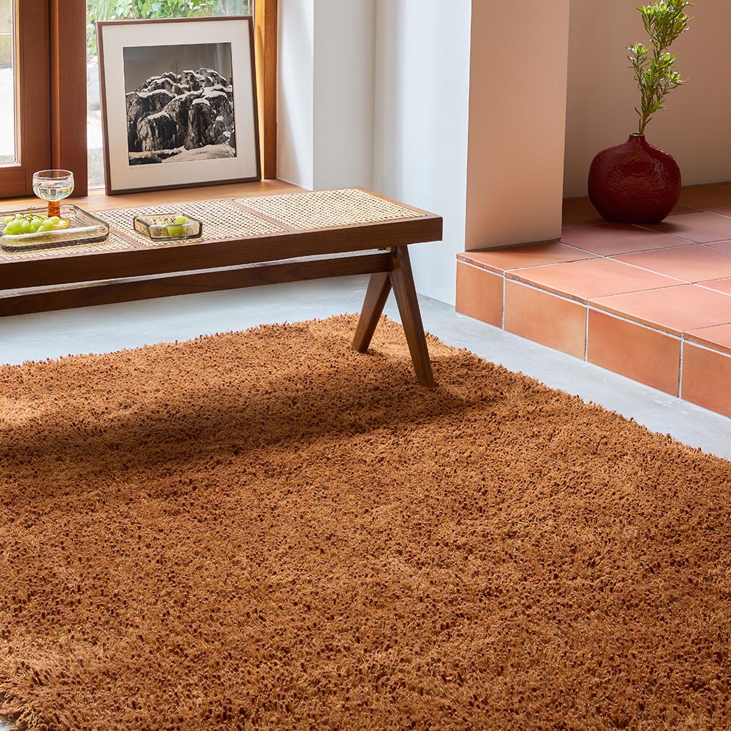 Sprout Terracotta 013323 Rug