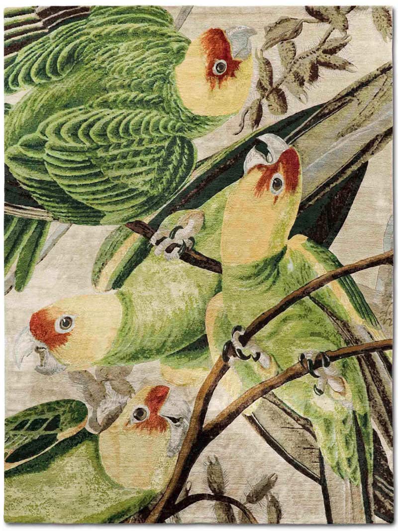 Parrots Hand-Woven Rug