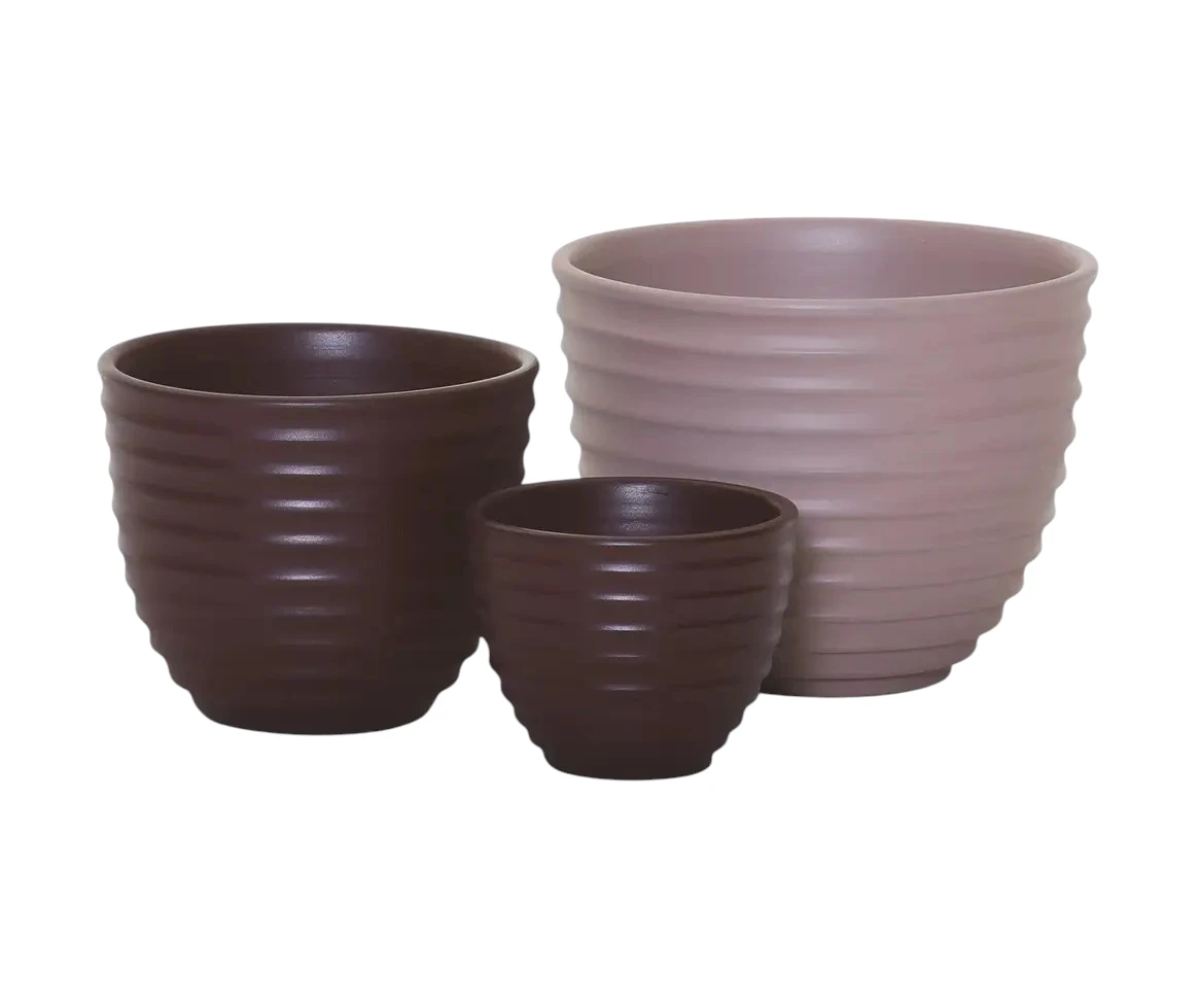 Bulbo Bowl