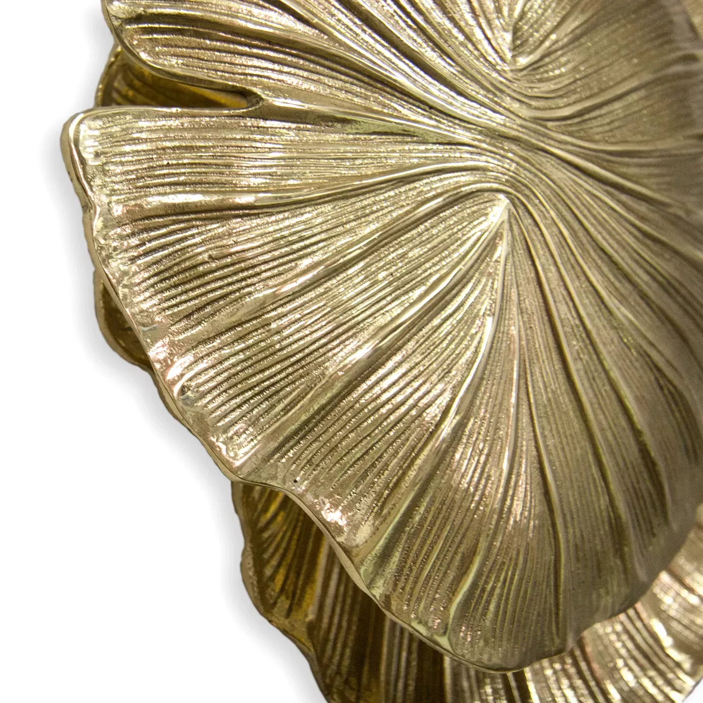 Passion Wall Sconce