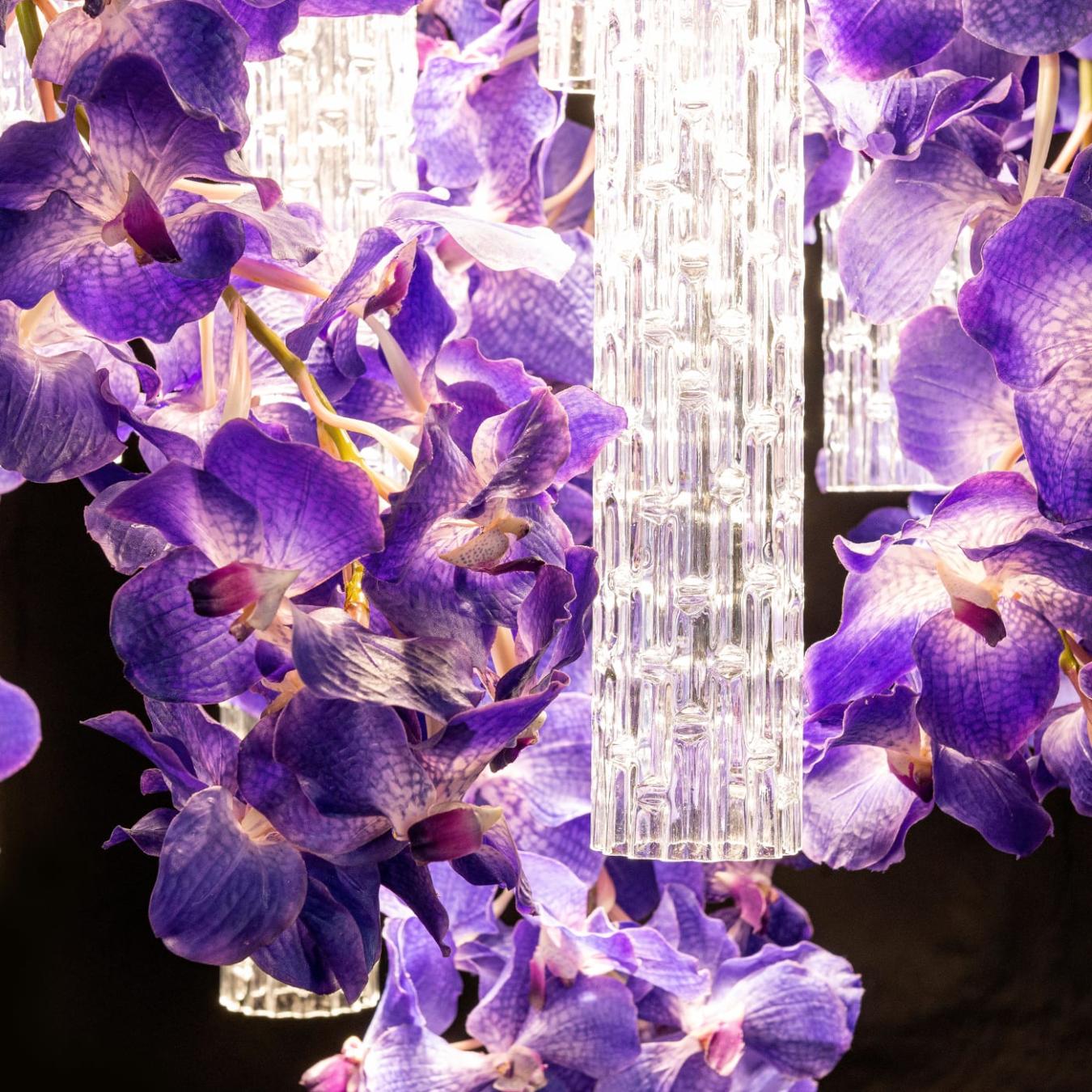 Vanda Square Chandelier
