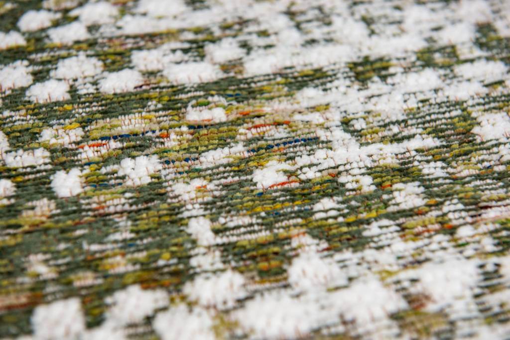 8893 Cactus Seed Rug | Size: 230 x 330 cm