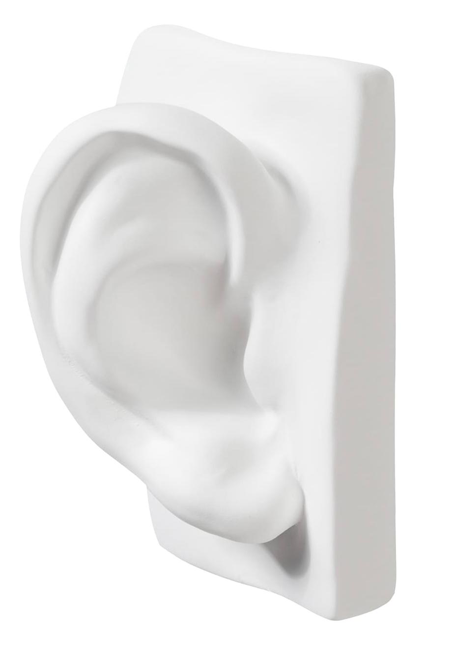 David Ear Sculpture