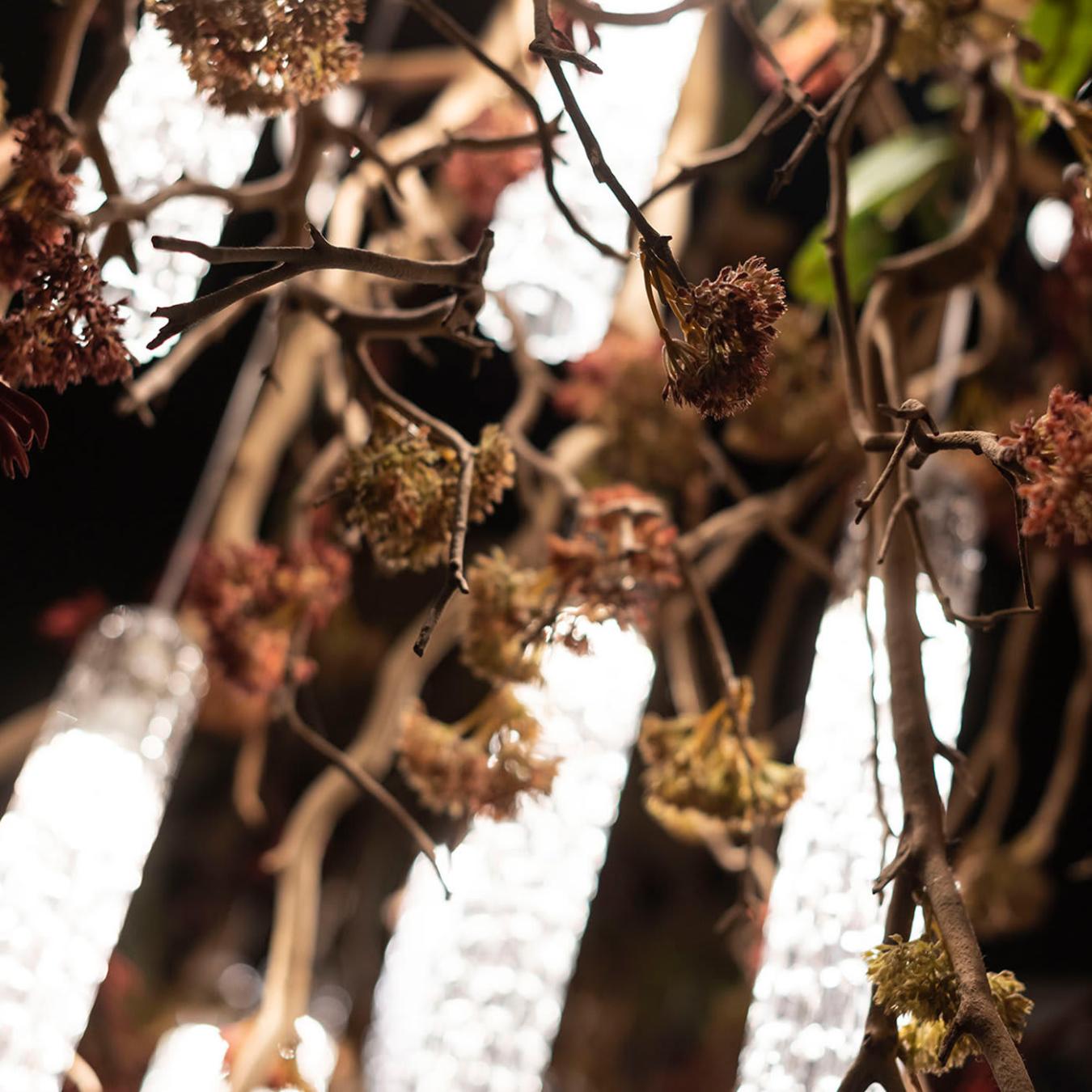 Manzanita Decorative Chandelier