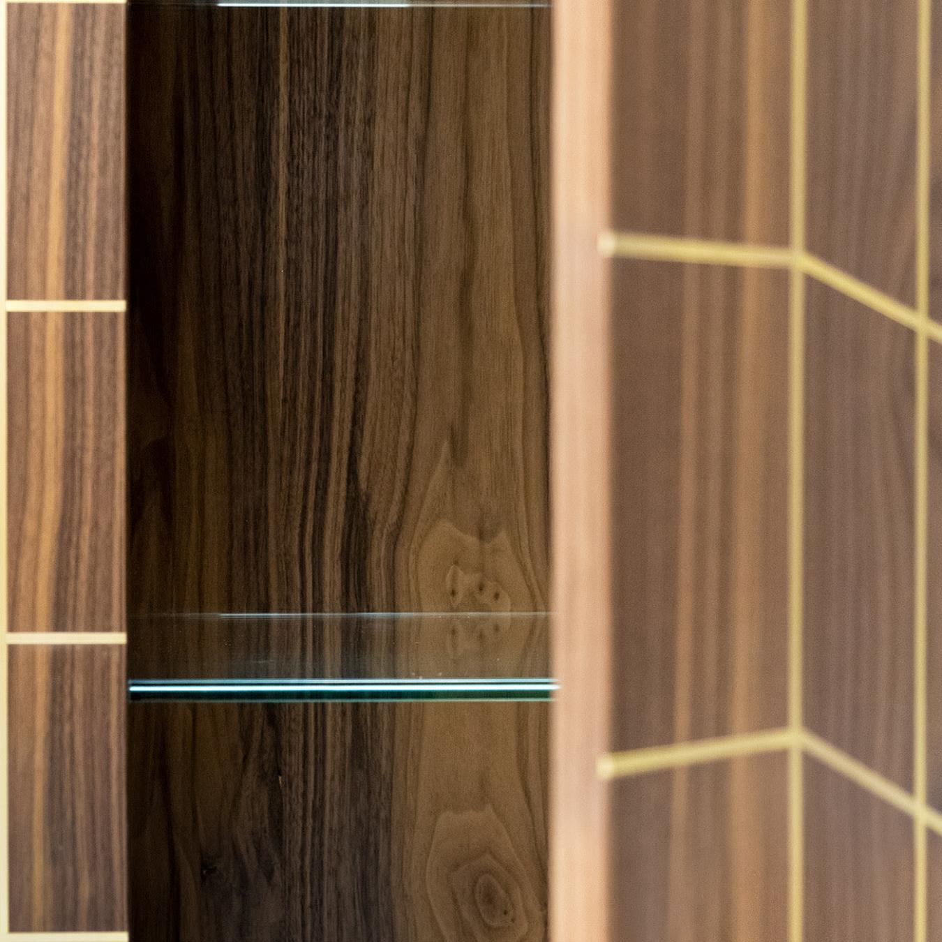 Elegant Modern Cabinet