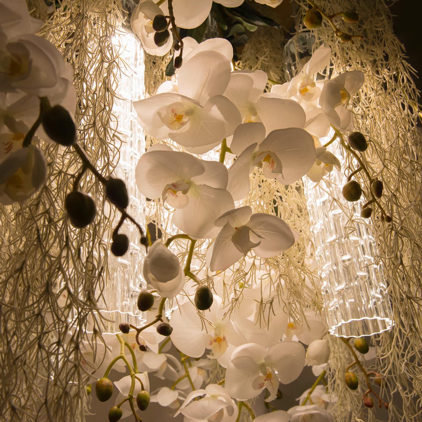 Phalaenopsis Decorative Chandelier