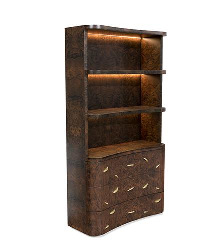 Designer Solid Wood Bookcase