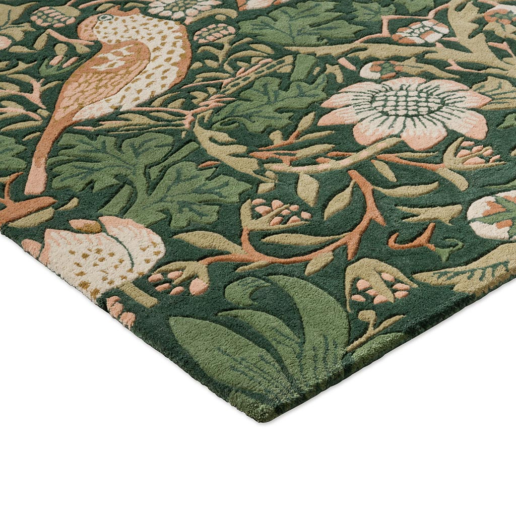 Strawberry Thief Forest 027707 Rug | Size: 170 × 240 cm