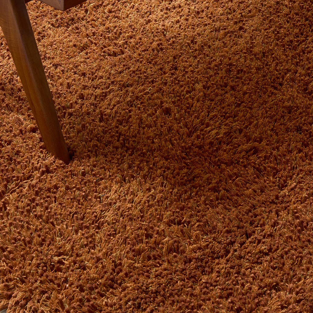Sprout Terracotta 013323 Rug
