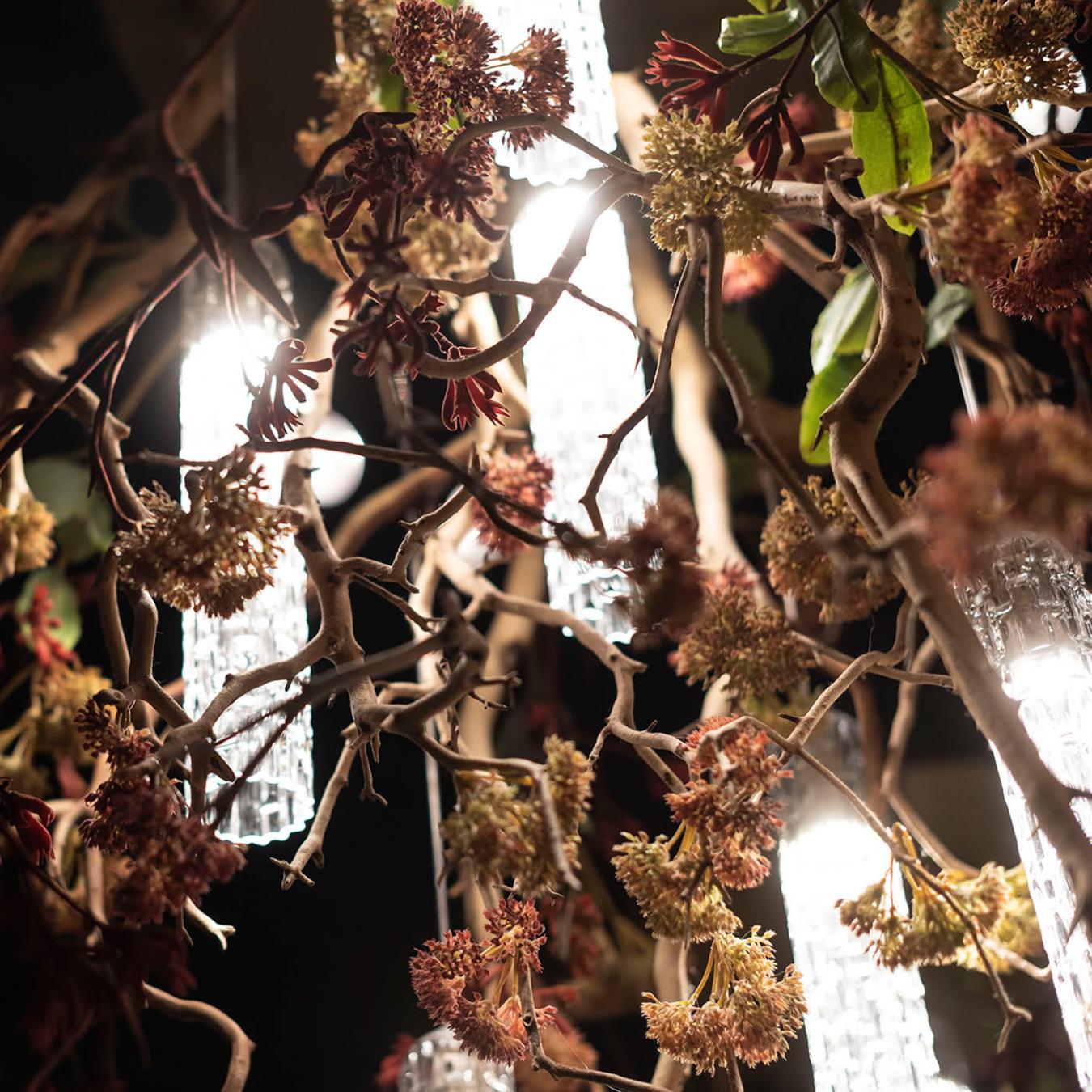 Manzanita Decorative Chandelier