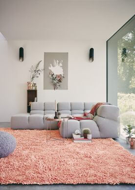 Pearl 70102 Rug
