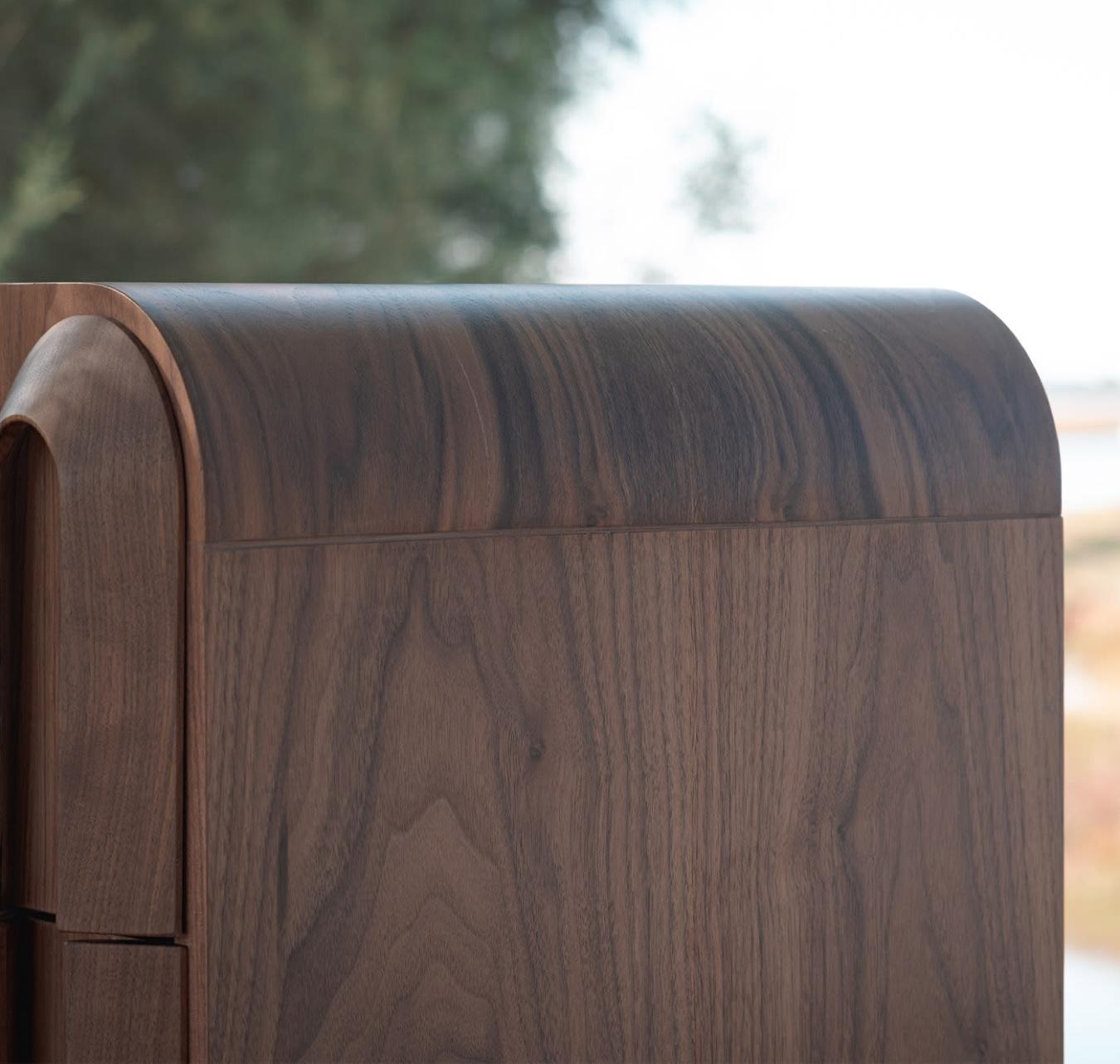Elegant Wooden Chest of Drawers
