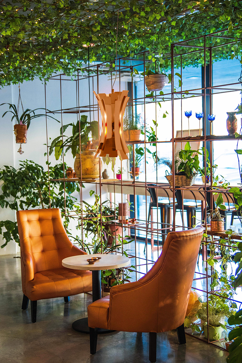 Refined Suspension Lamp
