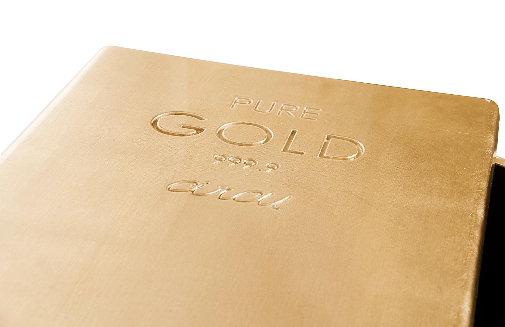 Golden Charm Toy Chest