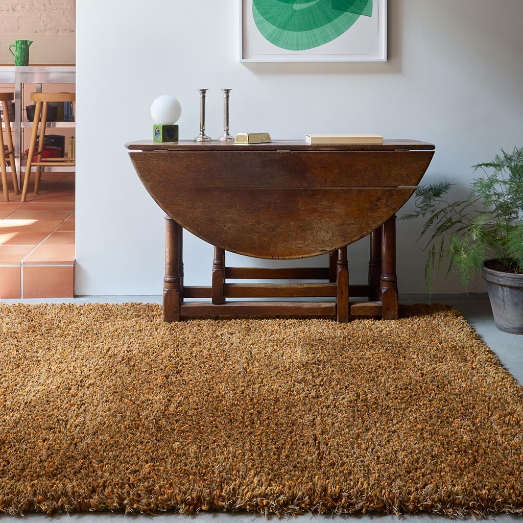 Sprout Burnt Tangerine 013316 Rug