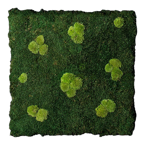 Flatmoss & Polemoss Wall Panel