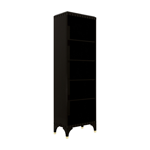Ellipse Bookcase
