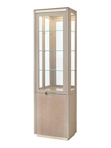 Light Display Cabinet