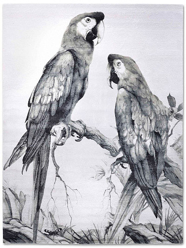 Two Parrots Hand-Woven Rug